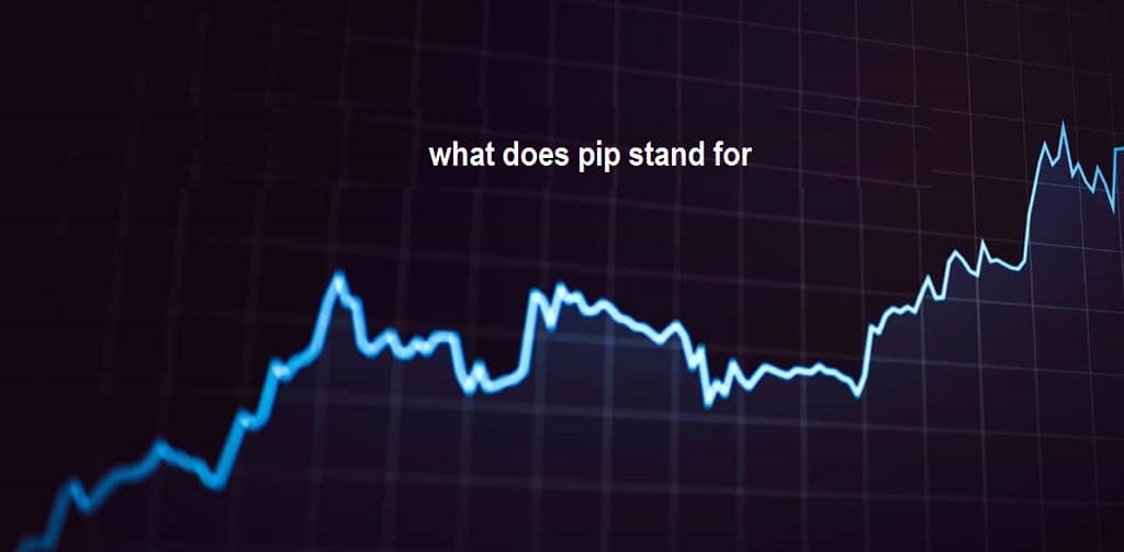 what does pip stand for